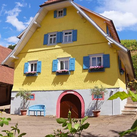 Winzerhof Maennle Appartement Oberkirch  Buitenkant foto