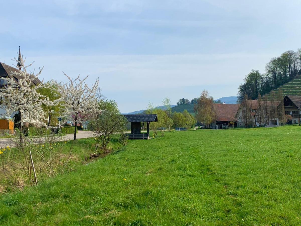 Winzerhof Maennle Appartement Oberkirch  Buitenkant foto