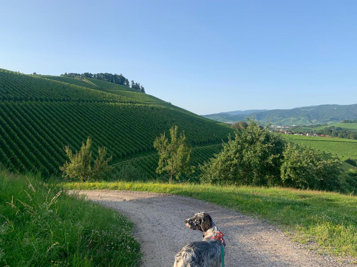 Winzerhof Maennle Appartement Oberkirch  Buitenkant foto