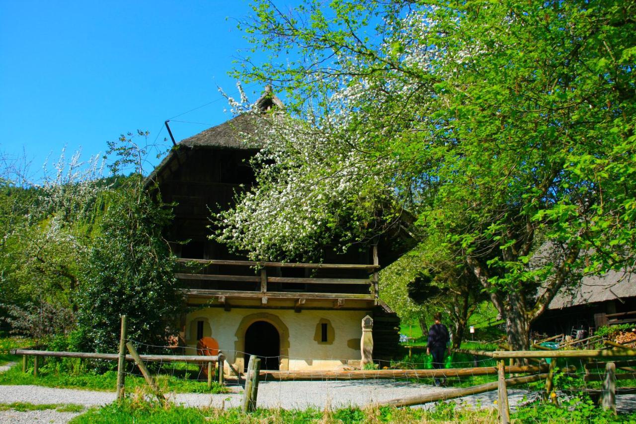 Winzerhof Maennle Appartement Oberkirch  Buitenkant foto
