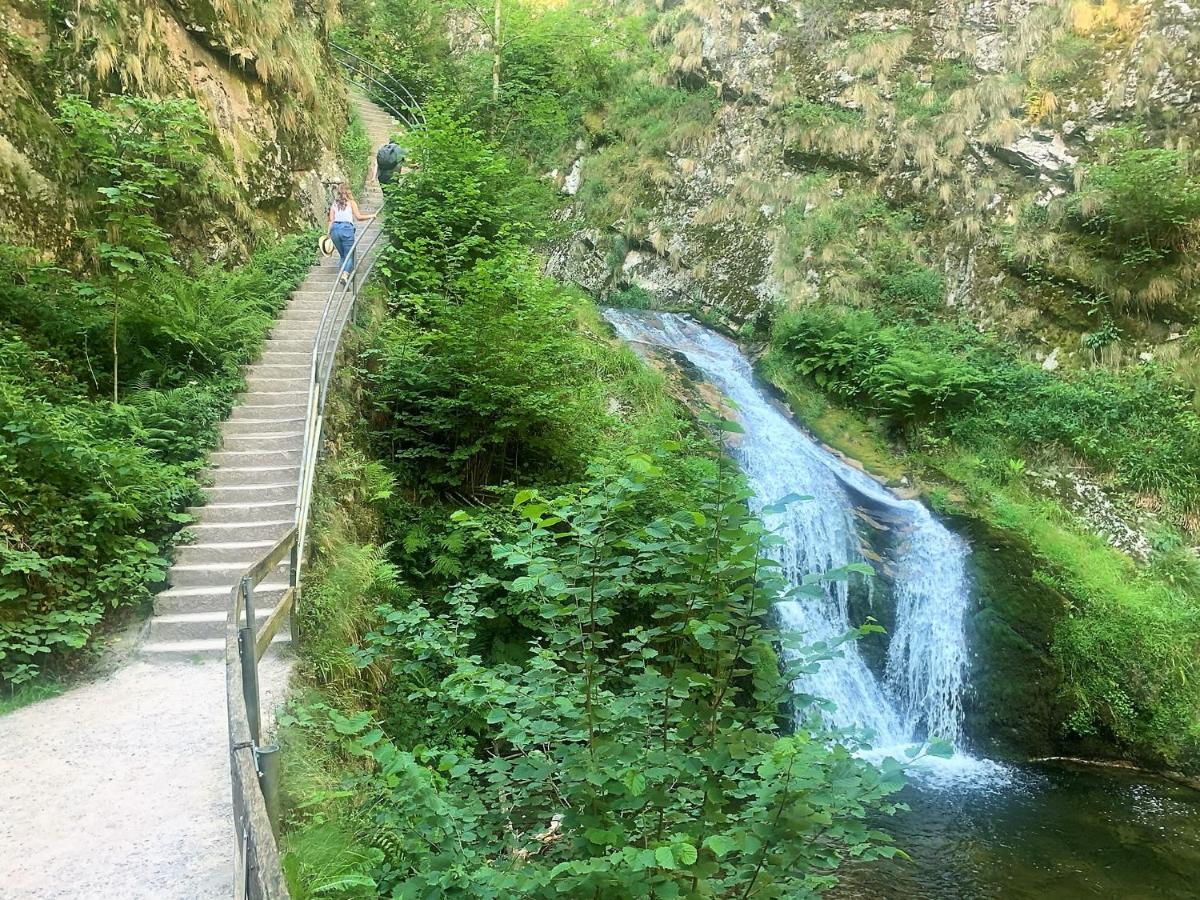 Winzerhof Maennle Appartement Oberkirch  Buitenkant foto