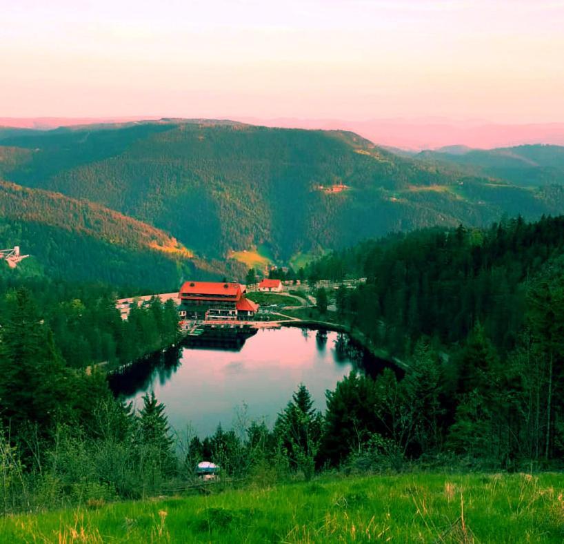 Winzerhof Maennle Appartement Oberkirch  Buitenkant foto