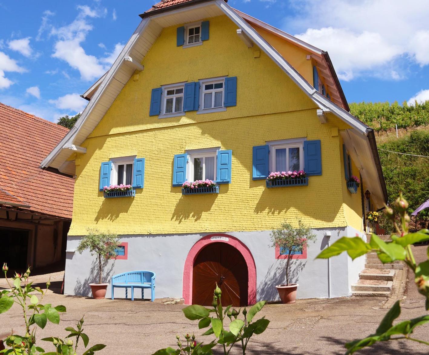 Winzerhof Maennle Appartement Oberkirch  Buitenkant foto